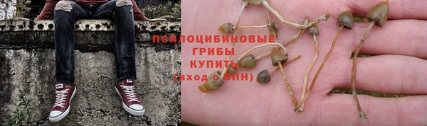 а пвп мука Алексеевка