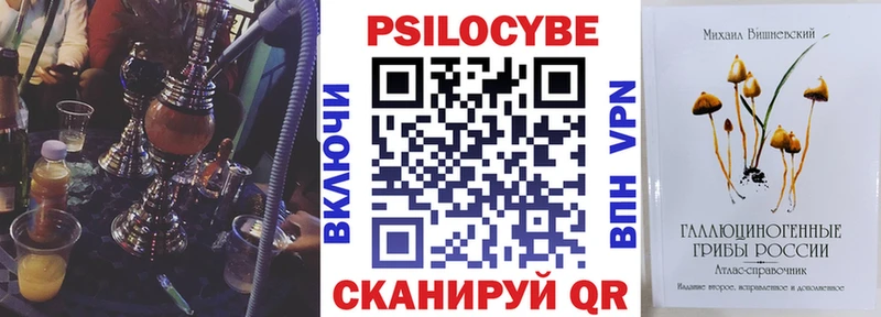 darknet Telegram ОМГ ОМГ маркетплейс Ликино-Дулёво Псилоцибиновые грибы Cubensis