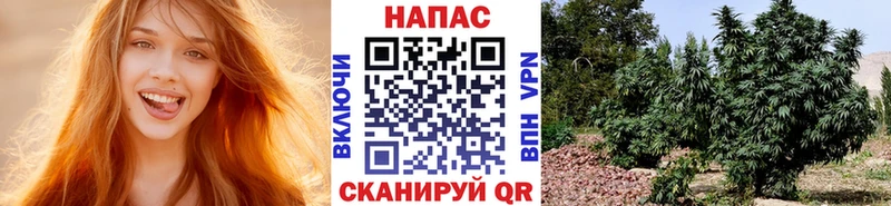 Бошки Шишки Amnesia дарнет шоп Ликино-Дулёво